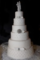 /album/torte-nuziali-wedding-cake/a5m1i7225-bis-jpg/